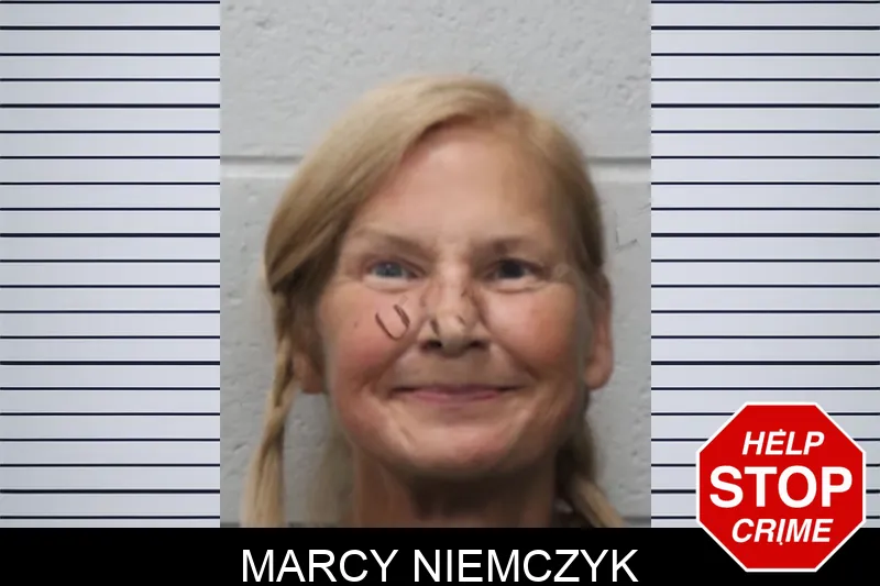Marcy Niemczyk mugshot