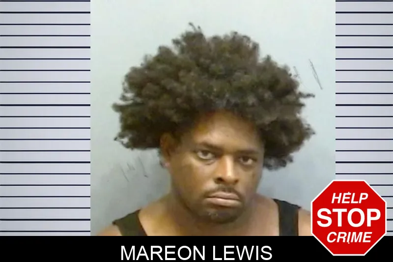 Mareon Lewis mugshot – Fulton County , Georgia Mareon Lewis mugshot