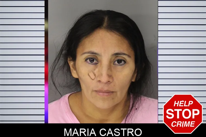 Maria Castro mugshot