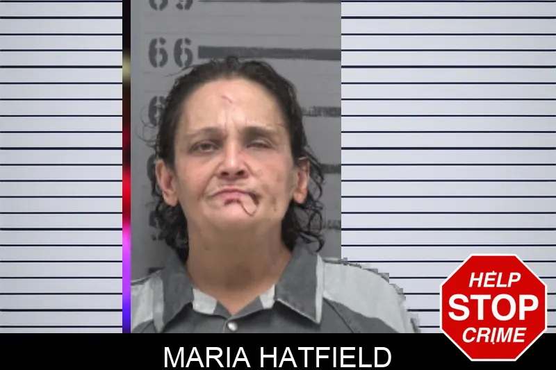 Maria Hatfield mugshot – Dougherty County , Georgia Maria Hatfield mugshot
