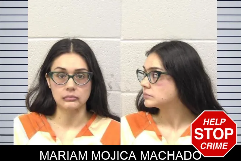 Mariam Mojica Machado mugshot – Paulding County , Georgia Mariam Mojica Machado mugshot