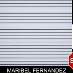 Maribel Fernandez mugshot