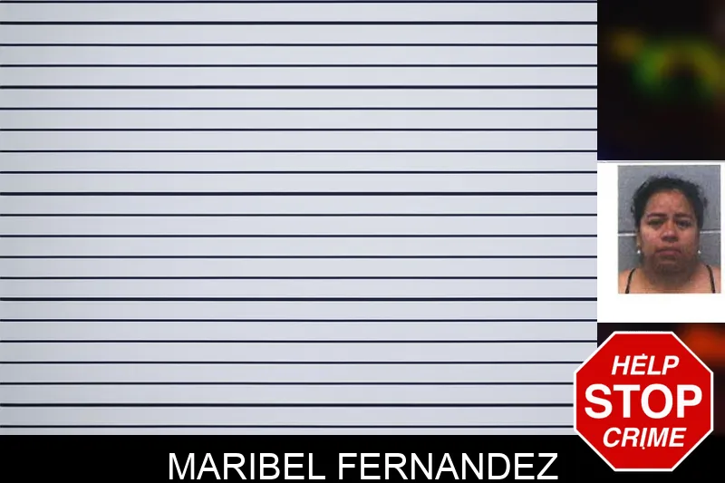 Maribel Fernandez mugshot