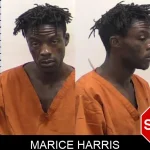 Marice Harris mugshot