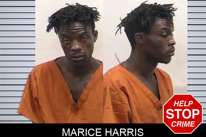Marice Harris mugshot