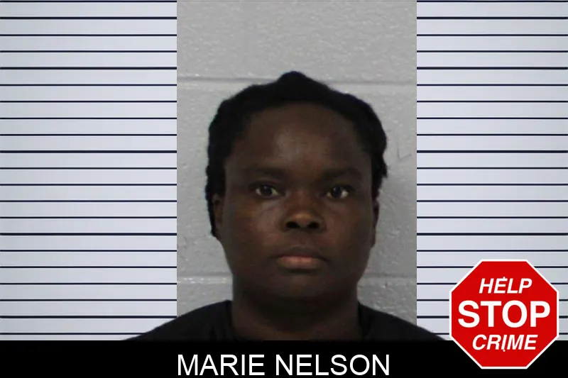 Marie Nelson mugshot