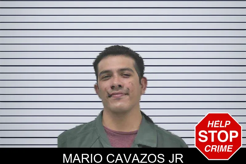 Mario Cavazos Jr mugshot