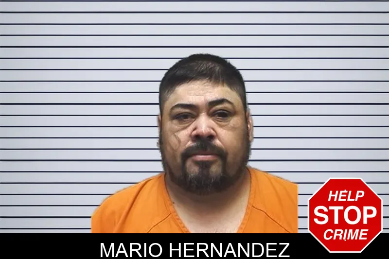 Mario Hernandez mugshot