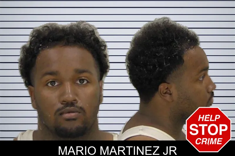 Mario Martinez Jr mugshot