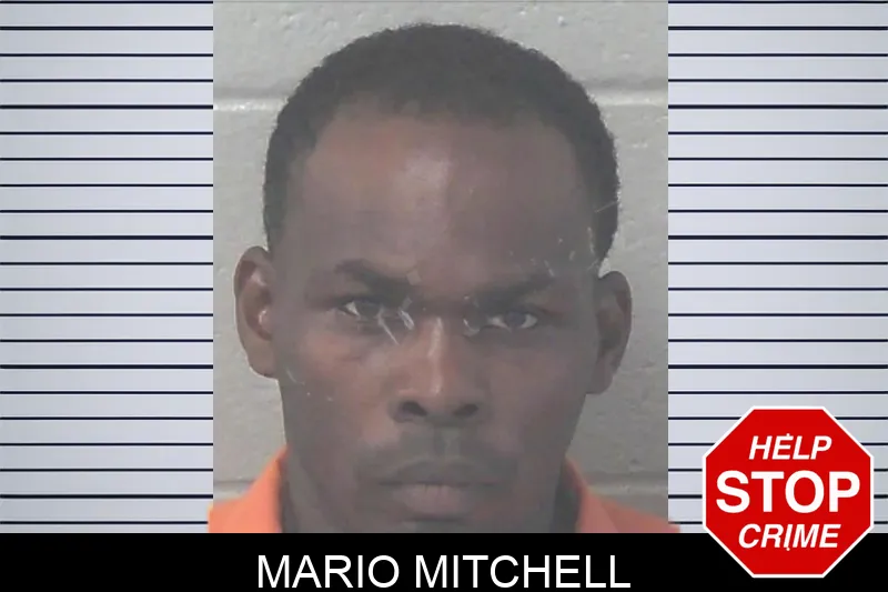 Mario Mitchell mugshot