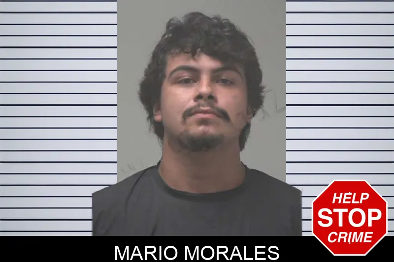 Mario Morales mugshot