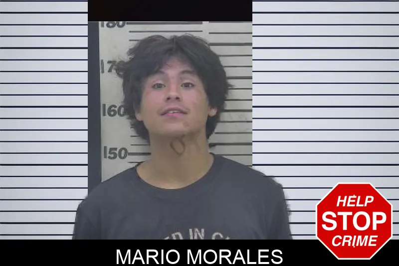 Mario Morales mugshot