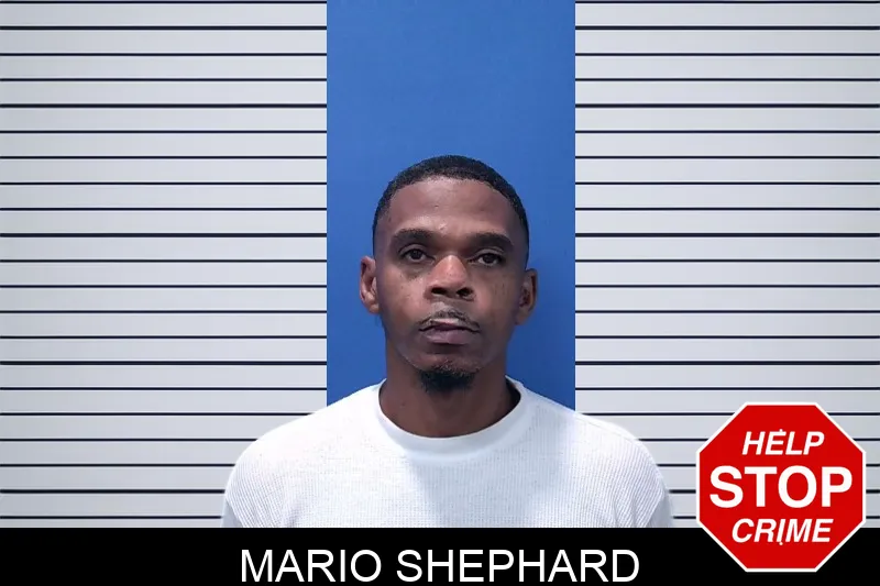 Mario Shephard mugshot