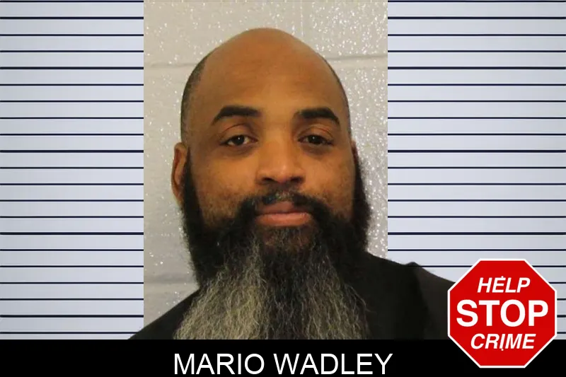Mario Wadley mugshot – Carroll County , Georgia Mario Wadley mugshot