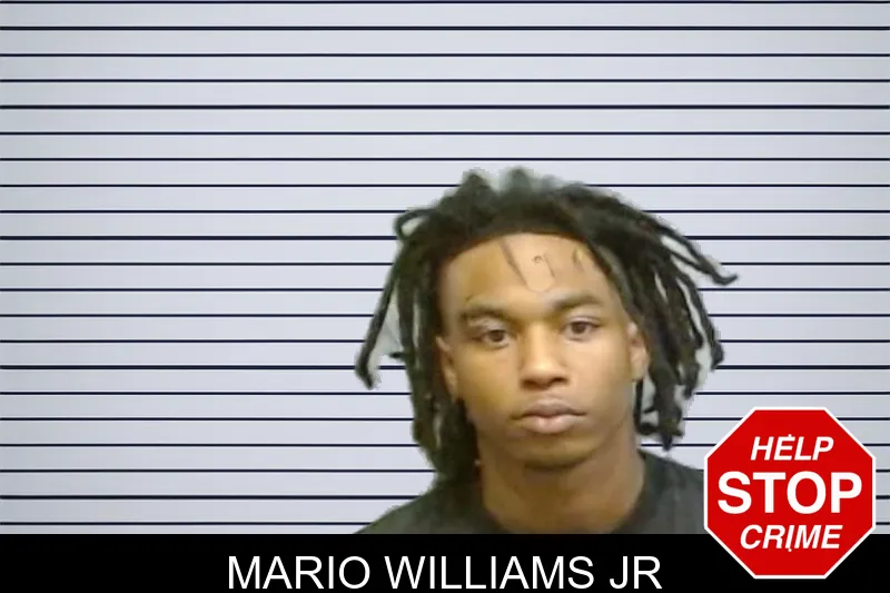 Mario Williams Jr mugshot
