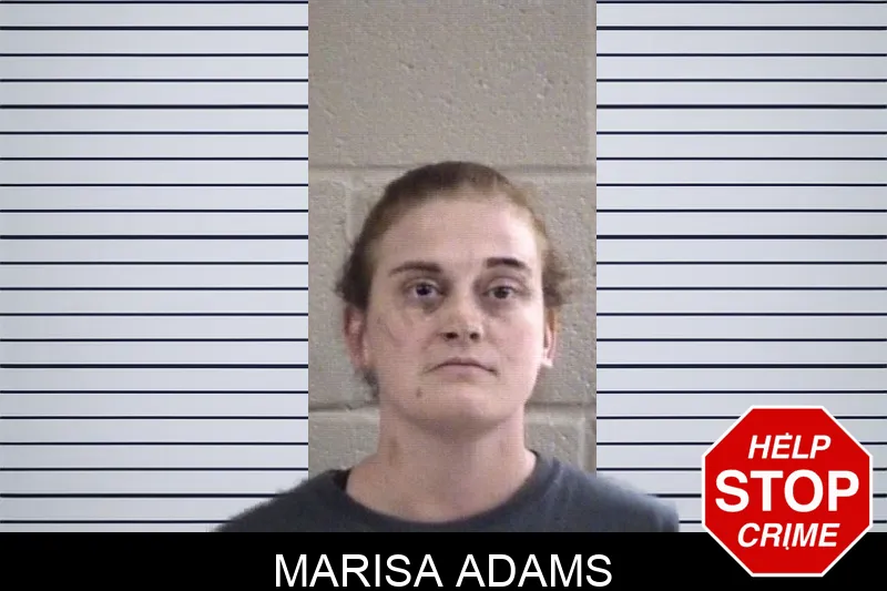 Marisa Adams mugshot – Whitfield County , Georgia Marisa Adams mugshot