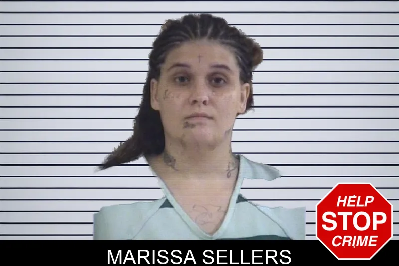 Marissa Sellers mugshot