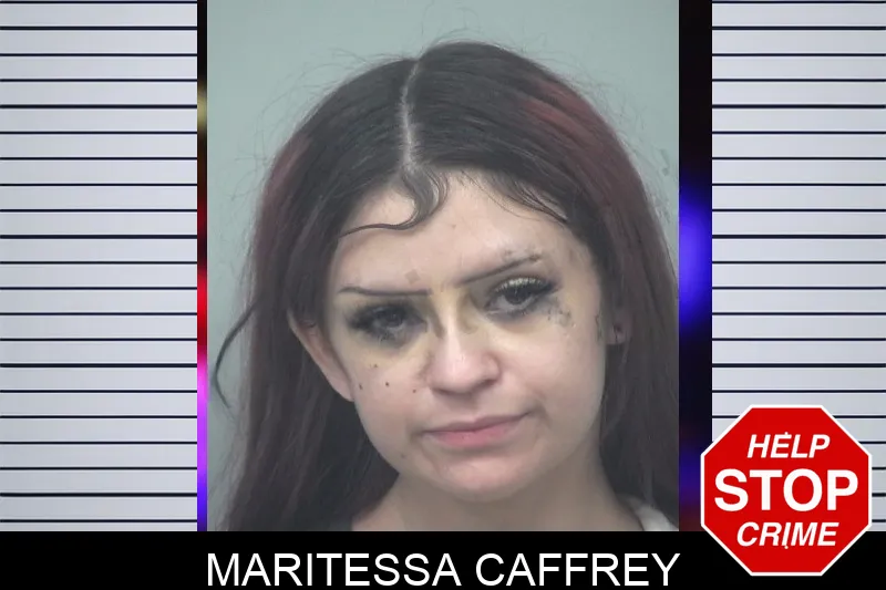 Maritessa Caffrey mugshot – Gwinnett County , Georgia Maritessa Caffrey mugshot