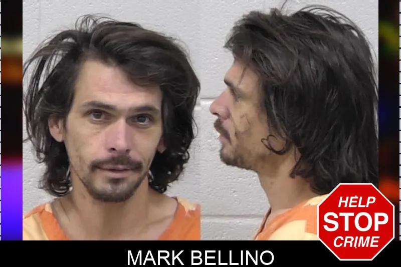 Mark Bellino mugshot