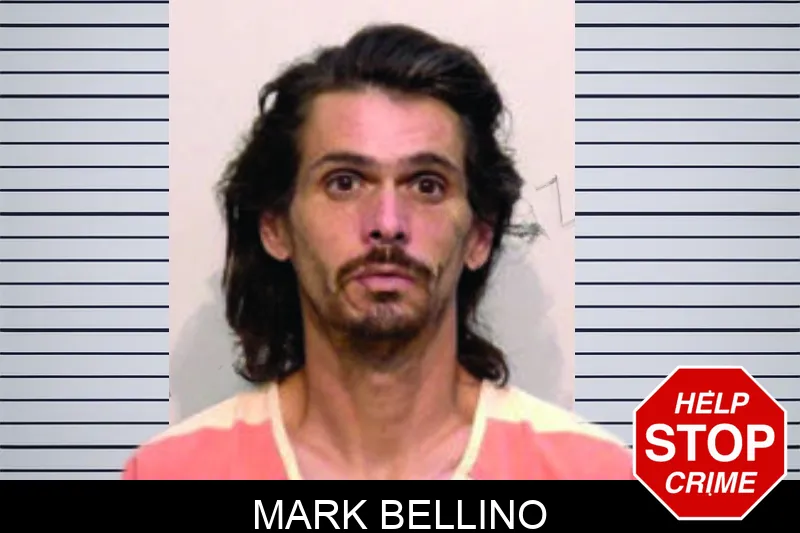 Mark Bellino mugshot – Bartow County , Georgia Mark Bellino mugshot