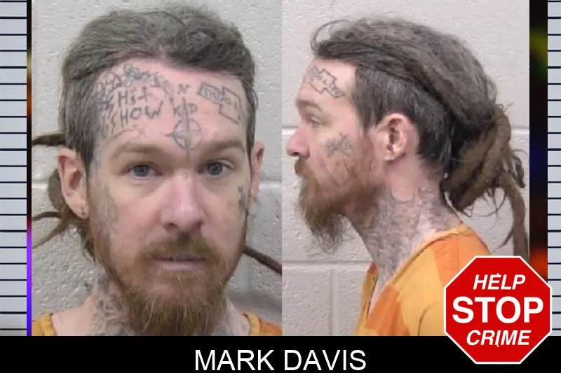 Mark Davis mugshot