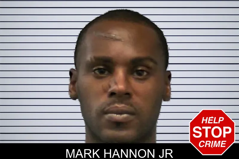 Mark Hannon Jr mugshot