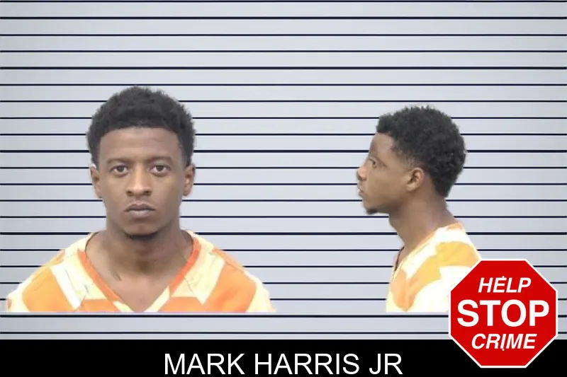 Mark Harris Jr mugshot – Paulding County , Georgia Mark Harris Jr mugshot