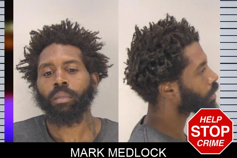 Mark Medlock mugshot