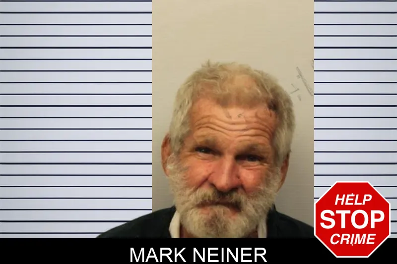 Mark Neiner mugshot – Chatham County , Georgia Mark Neiner mugshot