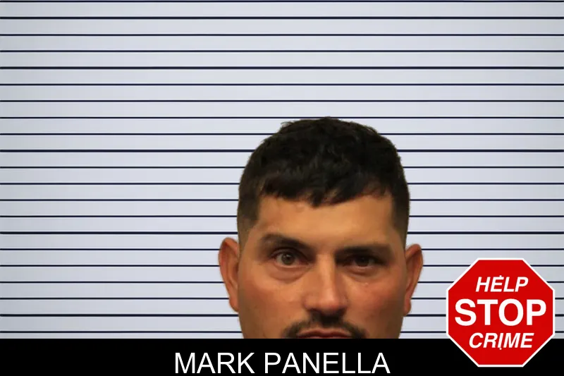 Mark Panella mugshot
