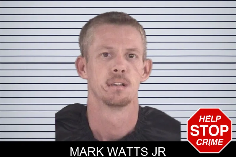 Mark Watts Jr mugshot