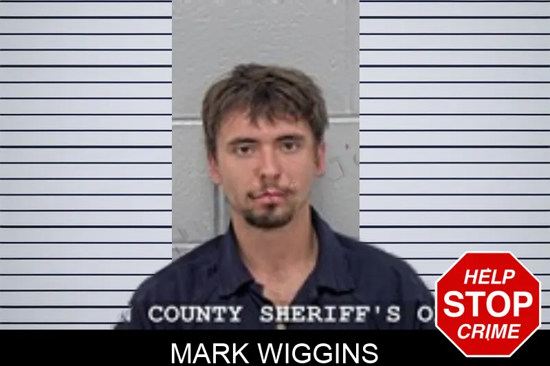 Mark Wiggins mugshot – Walton County , Georgia Mark Wiggins mugshot