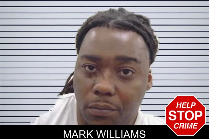 Mark Williams mugshot
