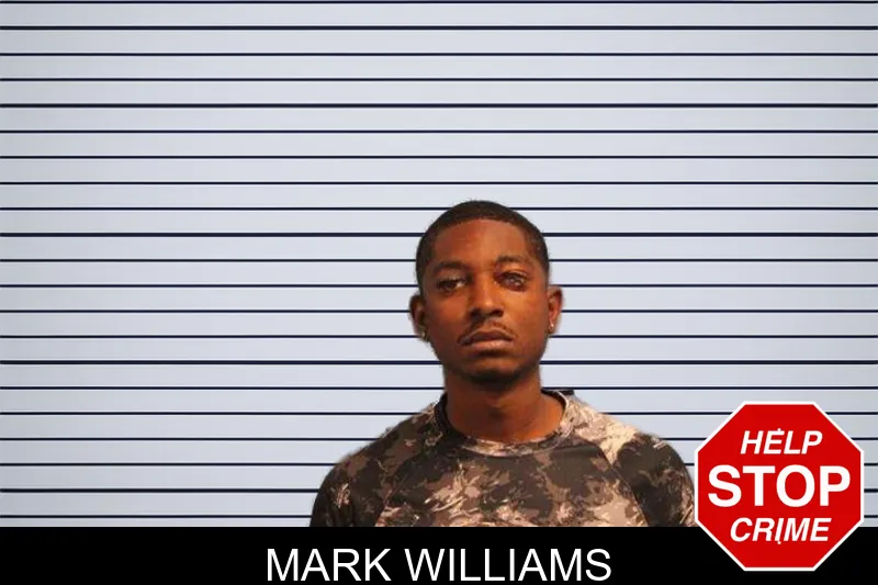 Mark Williams mugshot