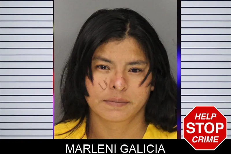 Marleni Galicia mugshot