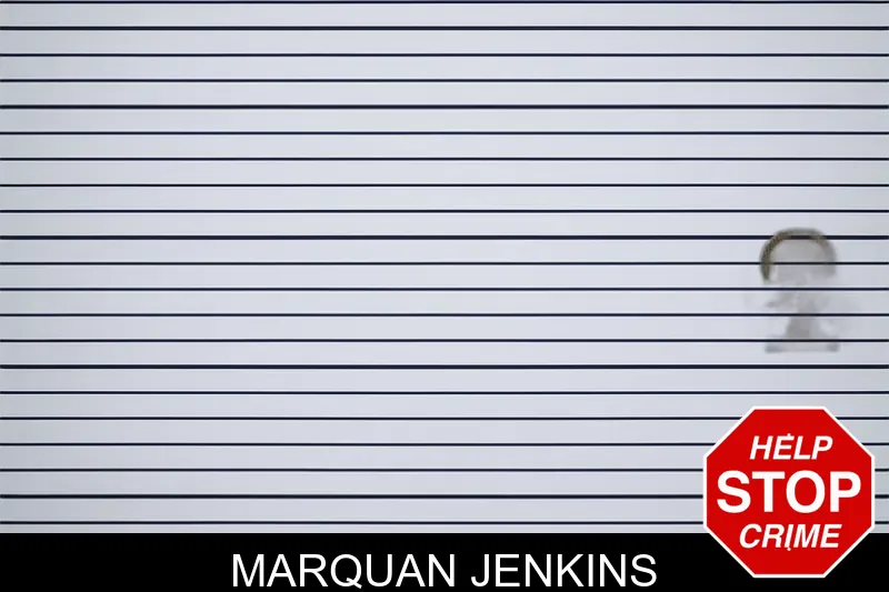 Marquan Jenkins mugshot