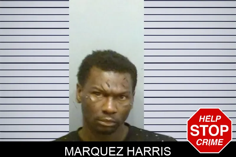 Marquez Harris mugshot – Fulton County , Georgia Marquez Harris mugshot