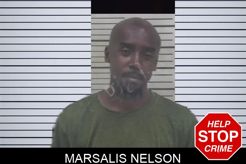 Marsalis Nelson mugshot – Coffee County , Georgia Marsalis Nelson mugshot