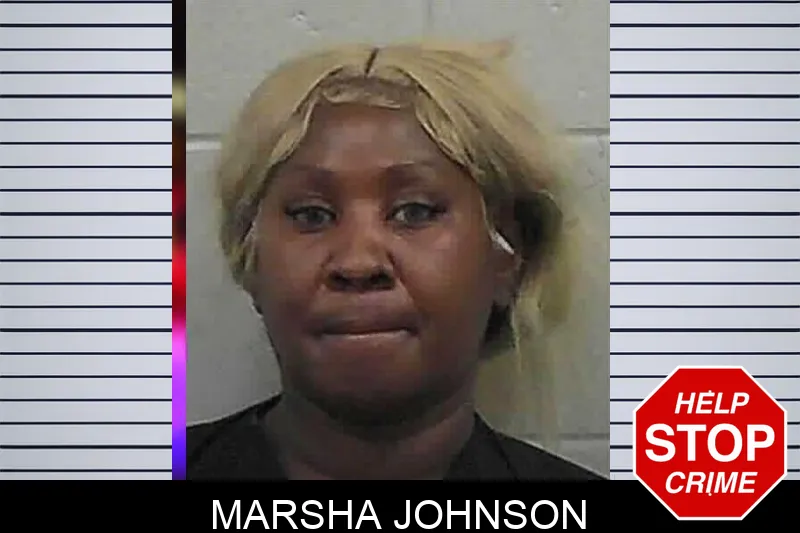 Marsha Johnson mugshot – Butts County , Georgia Marsha Johnson mugshot