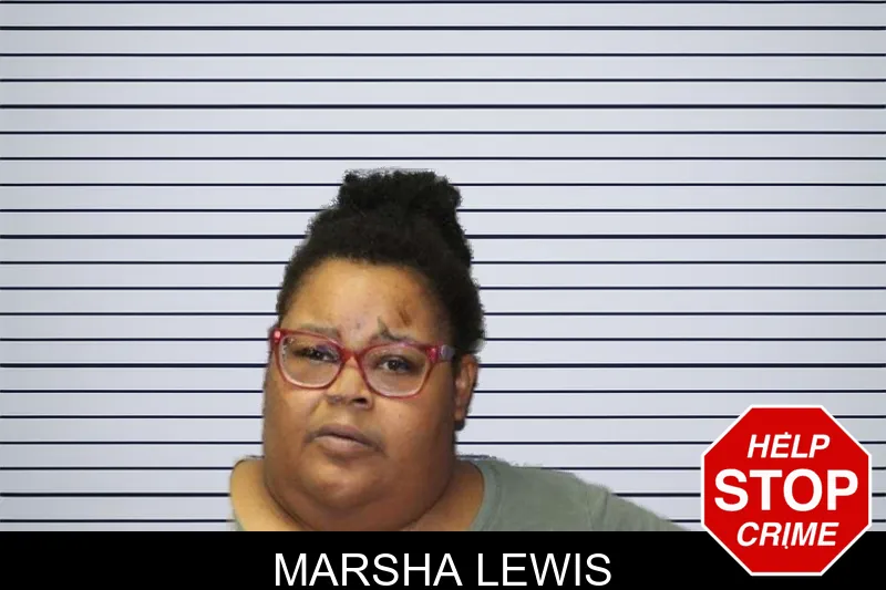 Marsha Lewis mugshot