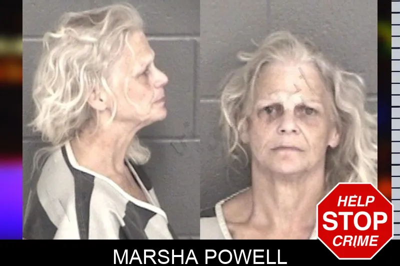 Marsha Powell mugshot – Barrow County , Georgia Marsha Powell mugshot