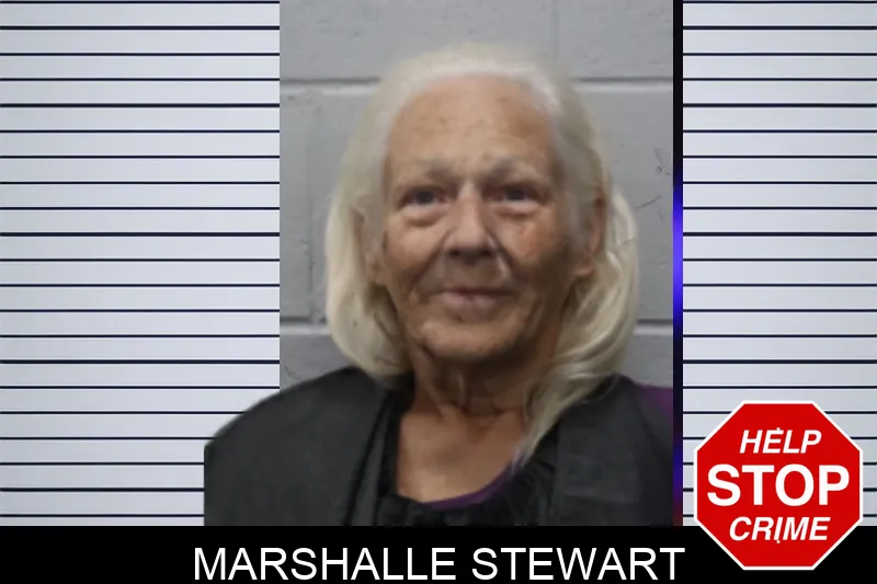 Marshalle Stewart mugshot