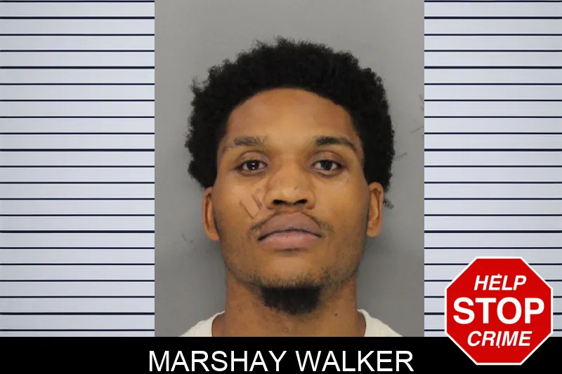 Marshay Walker mugshot – Cobb County , Georgia Marshay Walker mugshot