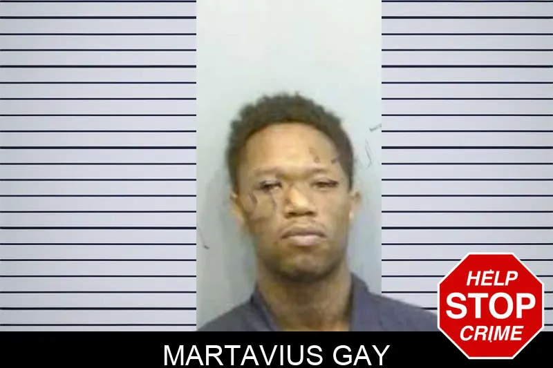 Martavius Gay mugshot – Fulton County , Georgia Martavius Gay mugshot