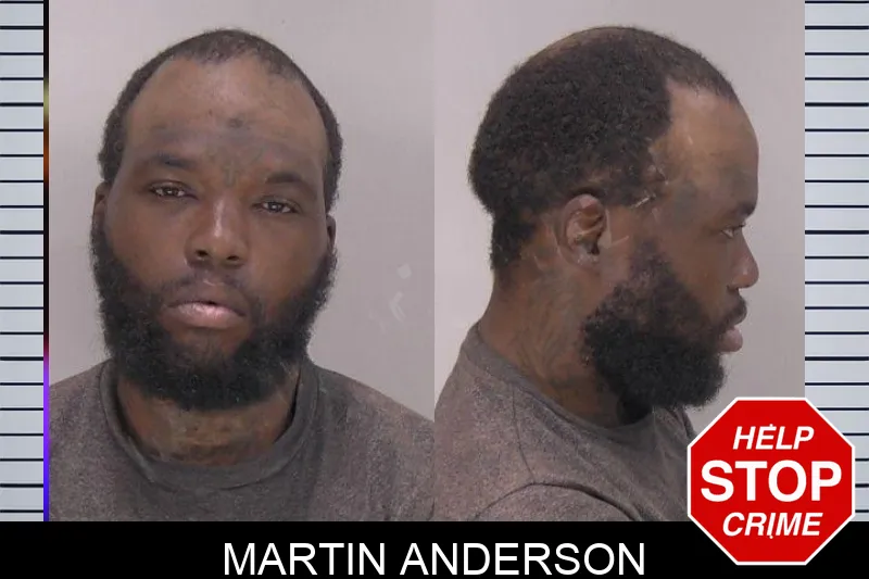 Martin Anderson mugshot