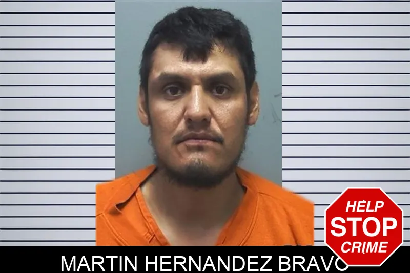 Martin Hernandez Bravo mugshot