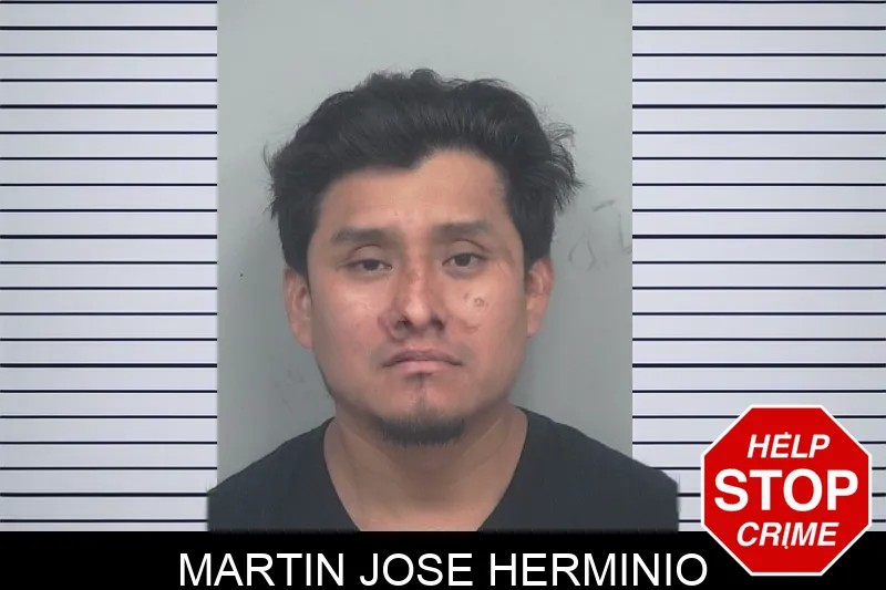 Martin Jose Herminio mugshot