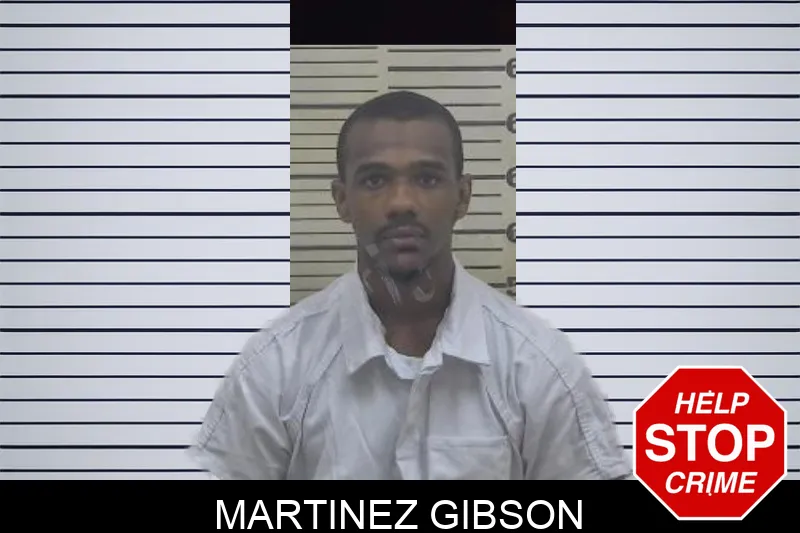 Martinez Gibson mugshot