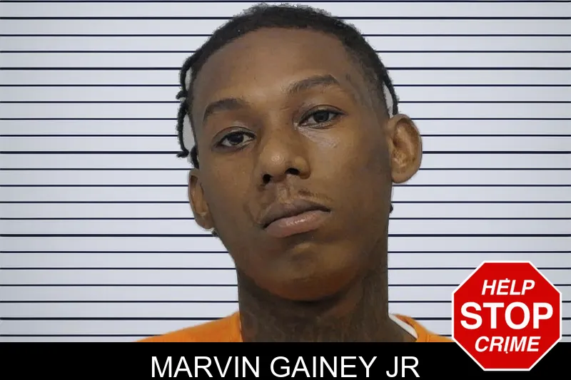Marvin Gainey Jr mugshot