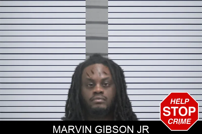 Marvin Gibson Jr mugshot